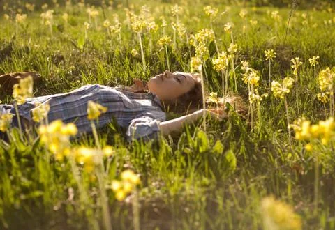 Sunset meadow dream. Stock Photos