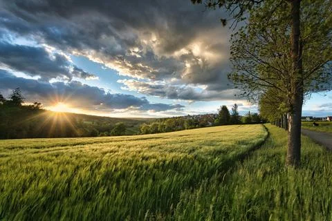 Sunset, Meadow, Grass image Stock Photos