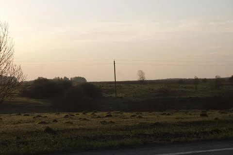 Sunset in the meadow. Landscape in the evening. Stock Photos