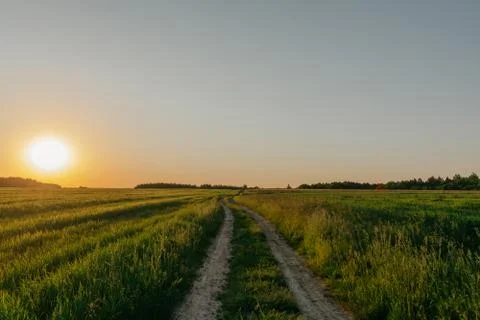 Sunset in the meadow Stock Photos