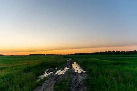 Sunset in the meadow Stock Photos