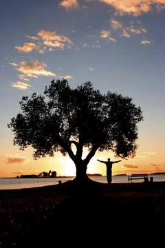 Sunset Meditation 스톡 사진