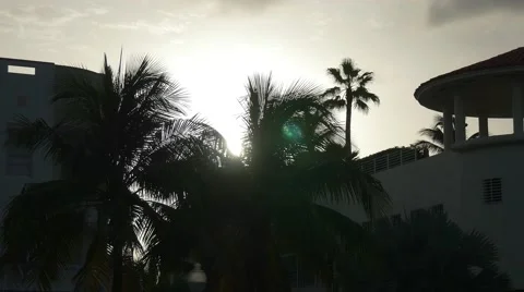 Sunset on Miami beach Stock Footage 54919418