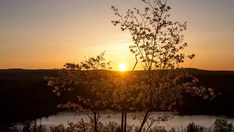 Sunset in the middle of a blossoming tree Stock Footage 72863587