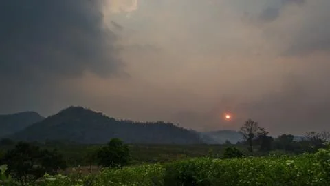 Sunset middle of the forest Stock Photos