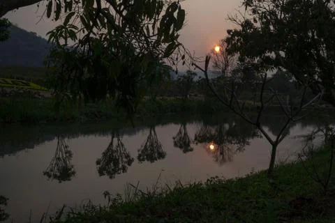 Sunset middle of the forest Stock Photos