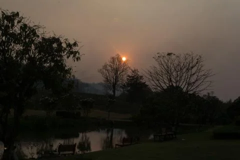 Sunset middle of the forest Stock Photos