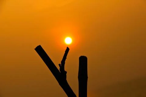 Sunset is the middle prong tree. Stock Photos