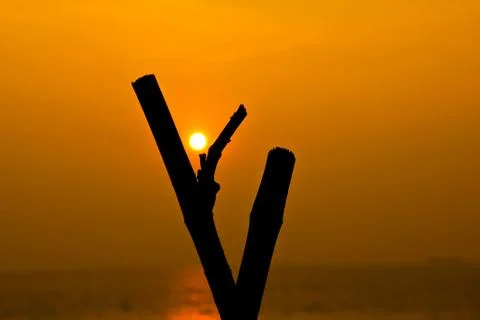 Sunset is the middle prong tree. Stock Photos