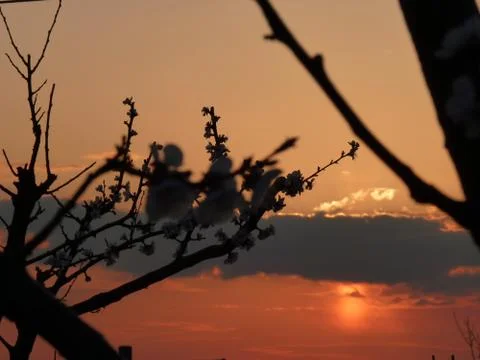 Sunset in Miroslava Stock Photos
