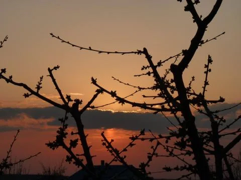 Sunset in Miroslava Stock Photos