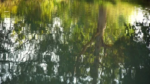 Sunset mist on lake Stock Footage 93093102