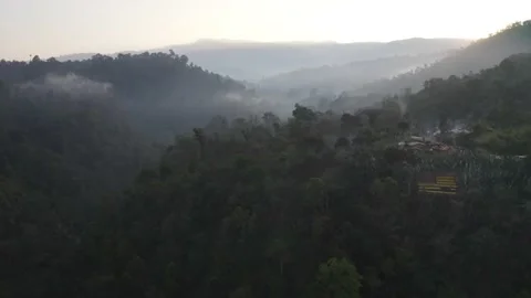 Sunset Mist In The Rainforest Drone Shot Africa Ethiopia Village 4K Stock Footage 169587878