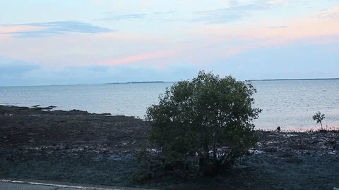 Sunset moment at the beach with blue and pink sky Stock Footage 124303905