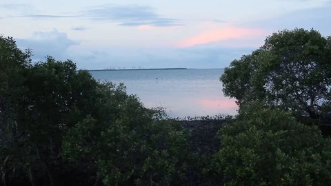 Sunset moment at the beach with blue and pink sky Stock Footage 124304136