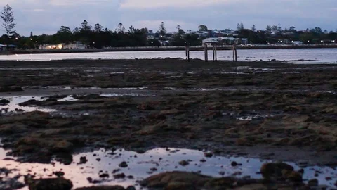 Sunset moment at the beach with blue and pink sky Stock Footage 124304247