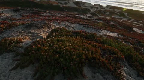 Sunset on the Monterey Bay Stock Footage