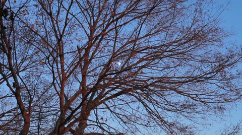 Sunset as the Moon Shines Stock Footage 36045219