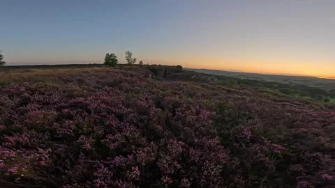 Sunset Moors Stock Footage 283068305