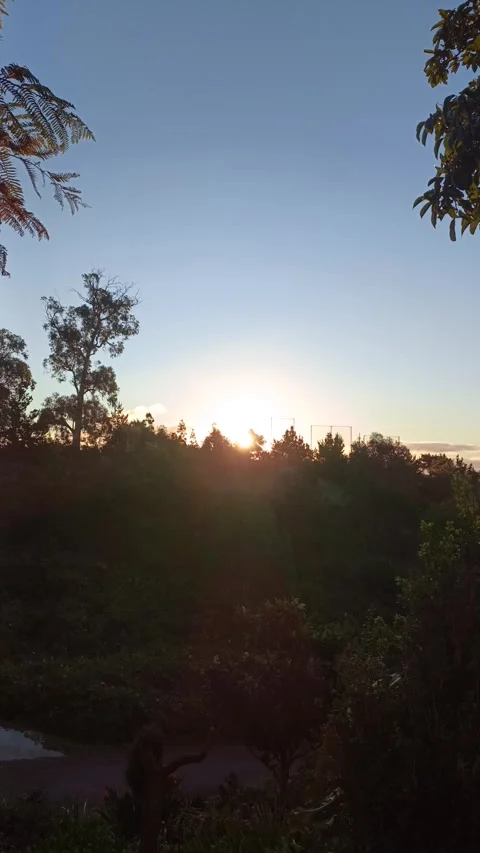 Sunset morning in the nature Stock Footage 322170187