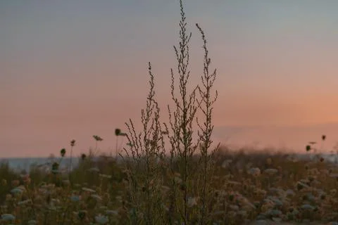 Sunset in the morning Stock Photos