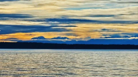 Sunset Motion Graphic. Stock-Footage 264130966