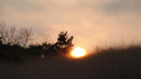 A sunset on the mountain and grass Video stock 303395778