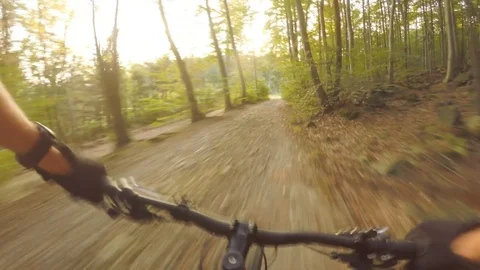 Sunset mountain bike riding in green forest on double track road, first person Stock Footage 80892248