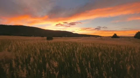 Sunset mountain field area Video stock 272181437