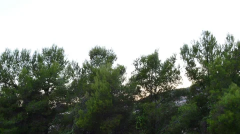 Sunset on the mountain 스톡 동영상 28838256