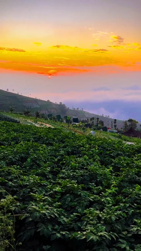 Sunset on the mountain Stock Footage 231750943