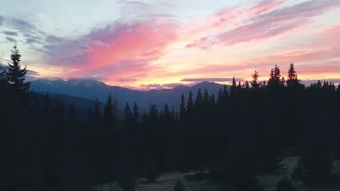 Sunset in the mountain forest Stock Footage 164835301