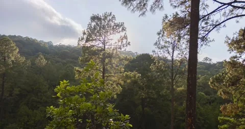 Sunset at the mountain forest. Nature Timelapse 스톡 동영상 132463639