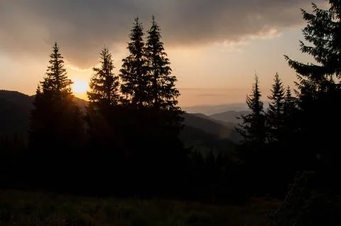 Sunset Mountain Forest Silhouette Stock Photos