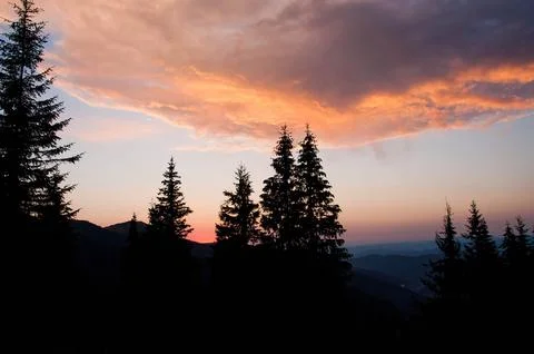 Sunset Mountain Forest Silhouette 스톡 사진