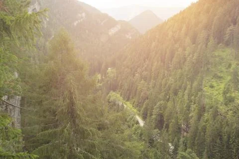Sunset in mountain forest valley top view from the hill Stock Photos