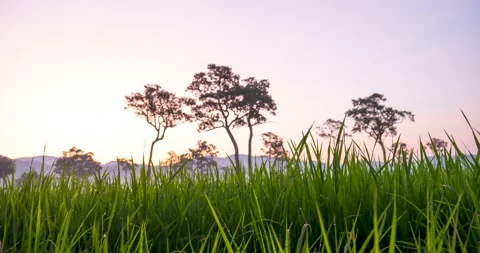 Sunset mountain range beautiful landscape mist foggy sunrise beam Stock Footage 312714088
