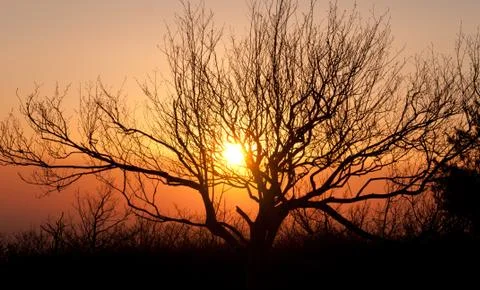 Sunset on a mountain ridge Stockfoto's