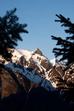 Sunset mountain seen trough pine branches Stock Photos