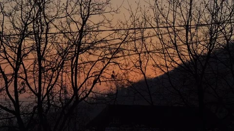 Sunset on mountain slope behind trees in forest Stock Footage 233993915