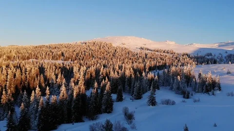 Sunset Mountain Trees Stock Footage 105460802