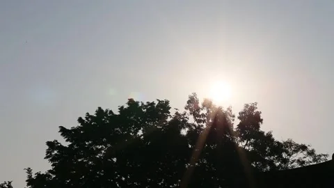 A sunset on the mountain with trees	 스톡 동영상 303402062