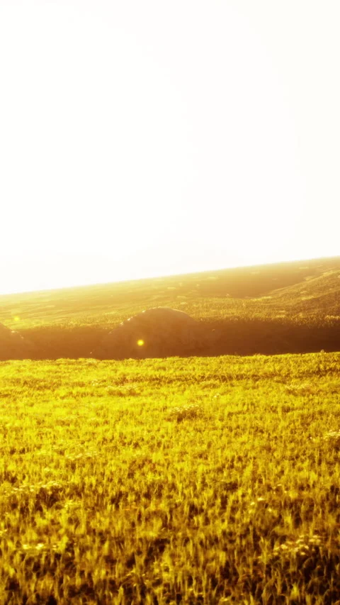 Sunset in the mountain valley Stock Footage 286090091