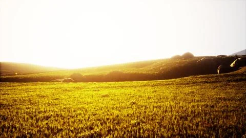 Sunset in the mountain valley Stock Illustration