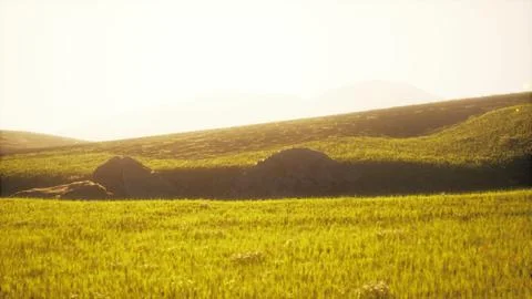 Sunset in the mountain valley Stock Illustration