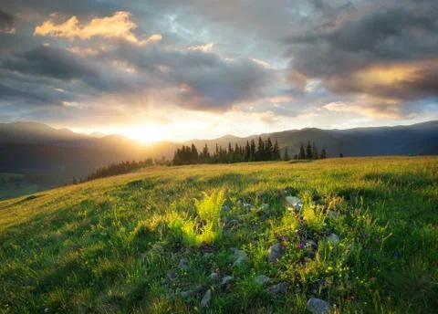 Sunset in the mountain valley Stock Photos