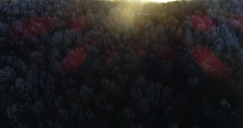 Sunset from a mountain while filming comes out of a dense forest Stock Footage 126725035