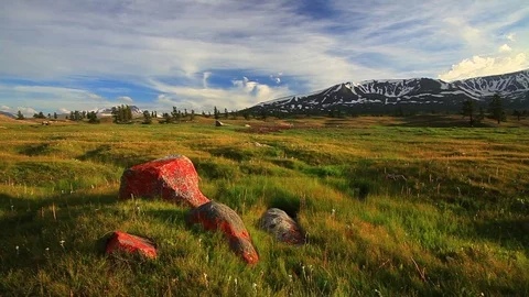 Sunset in the mountains of Altai, Mongolia. Meadow with edelweisses Vídeos de archivo 72334376