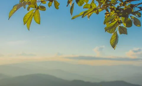 Sunset, mountains and beautiful clouds at Doi Chang, Mae Fah Luang Village, C Stock Photos