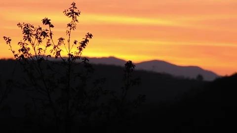 Sunset on  mountains and branches Video stock 84146256